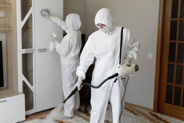 Best Toxic Mold Removal  in Ketchikan, AK